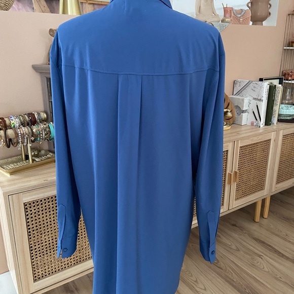 Blue Ruffled Shirt Dress - Picture 3 of 7